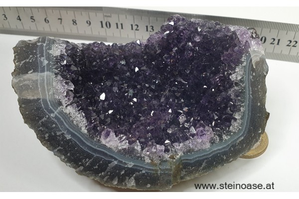 Amethyst Drusenstück  Uruquay